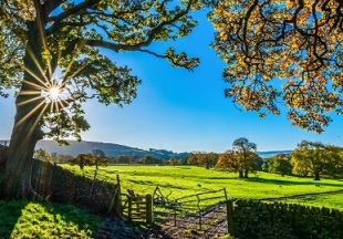  Pasture view